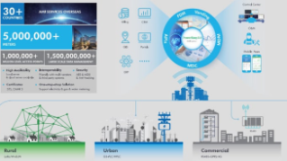 What is a Smart Grid?